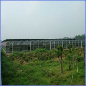 Exterior de invernadero con paneles de policarbonato GOODLIFE de 8 mm